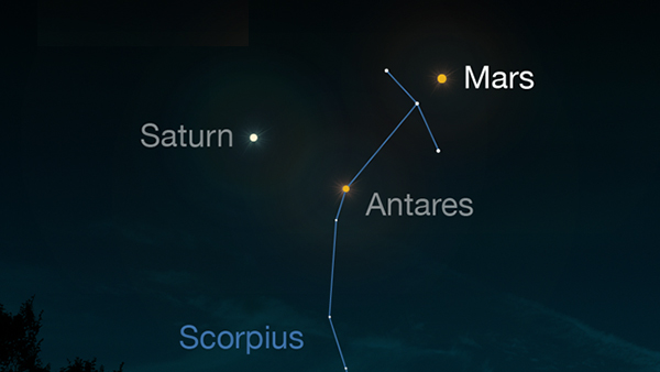 Mars in the Night Sky