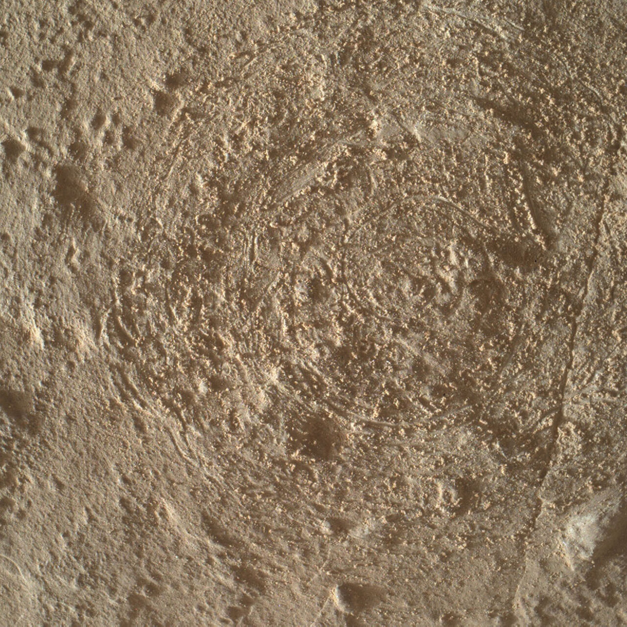 MAHLI focus merge product of the sol 3900 target Porta Walter after DRT brushing. Curiosity acquired this image using its Mars Hand Lens Imager (MAHLI), located on the turret at the end of the rover's robotic arm, on July 27, 2023.  