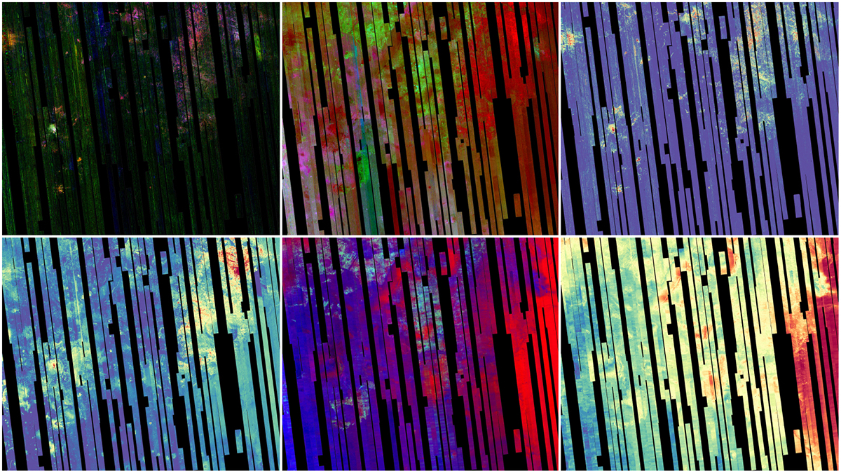 This image shows six views of the Nili Fossae region of Mars captured by the Compact Reconnaissance Imaging Spectrometer for Mars, or CRISM..