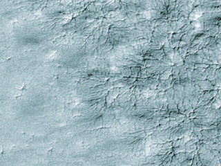 Spider Web Pattern