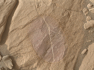 This Sept. 16, 2017, image from the Mars Hand Lens Imager (MAHLI) camera on NASA's Curiosity Mars rover shows effects of using the rover's wire-bristled Dust Removal Tool on a rock target called "Christmas Cove." Removal of dust revealed purplish rock that may contain the mineral hematite.
