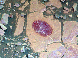 This false-color image shows how special filters of the Curiosity Mars rover's Mastcam can help reveal certain minerals in target rocks. It is a composite of images taken Sept. 17, 2017, through three "science" filters chosen to make hematite, an iron-oxide mineral, stand out as exaggerated purple.
