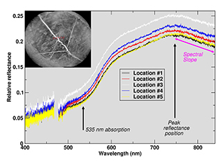 The ChemCam on NASA's Curiosity Mars rover examined a brushed area on target rock "Christmas Cove" on Sept. 17, 2017, and found spectral evidence of hematite, an iron-oxide mineral. Five lines on the graph of brightness at different wavelengths correspond to the labeled points in the inset image.