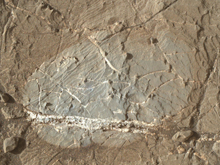 mineral veins in rock