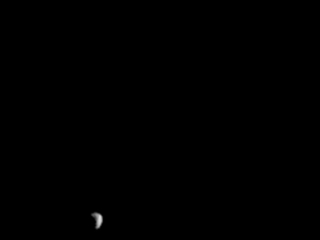 Mars Odyssey Observes Martian Moons