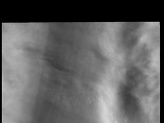 Polar Winds