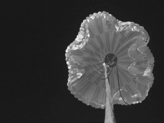 This high-definition image was taken on Sept. 7, 2018, during the third and final test flight of the ASPIRE payload. It was the fastest inflation of this size parachute in history and created a peak load of almost 70,000 pounds of force. 