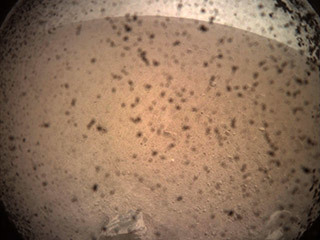 This is the first image taken by NASA’s InSight lander on the surface of Mars. 
