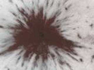 PIA23019: Impact Near the South Pole
