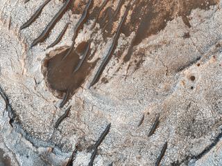 This image acquired on December 8, 2018 by NASAs Mars Reconnaissance Orbiter, shows erosion of the surface revealing several shades of light toned layers, likely sedimentary deposits.