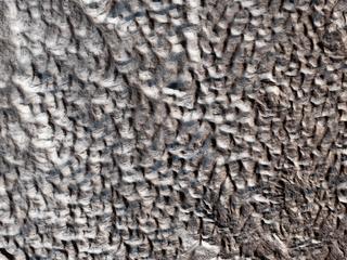 This image acquired on December 11, 2018 by NASAs Mars Reconnaissance Orbiter, shows a surface texture of interconnected ridges and troughs, referred to as brain terrain, found throughout the mid-latitude regions of Mars.