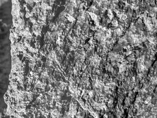 Close up of a Martian rock nicknamed "Jornada del Muerto" 