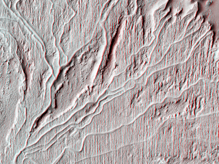 The long, sinuous raised ridges on this fan of material are thought to be inverted stream channels.