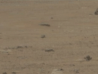Video shows NASA’s Ingenuity Mars Helicopter landing with a soft bounce 