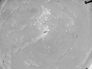 This sequence of images – taken on May 22, 2021, by the navigation camera aboard NASA’s Ingenuity Mars Helicopter – depicts the last 29 seconds of the rotorcraft’s sixth flight.