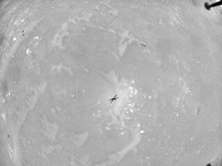 Video taken by navigation camera aboard NASA’s Ingenuity Mars Helicopter – depicting the last 29 seconds of the rotorcraft’s sixth flight.