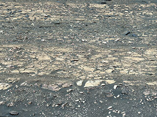 NASA’s Perseverance Mars rover used its Mastcam-Z camera to capture this enhanced color image of “Hogwallow Flats” on June 6, 2022, the 461st Martian day, or sol, of the mission.