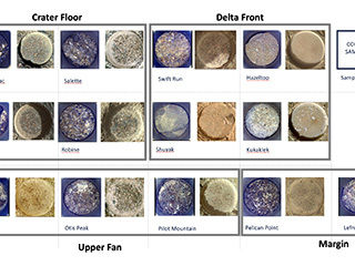 Shown here is an annotated representation of the 13 sample tubes containing rock-core samples that are being carried aboard NASA’s Perseverance rover as of Dec. 12, 2023, when the mission was marking its 1,000th Martian day, or sol, on the Red Planet.