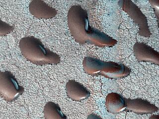 Surrounded by frost, these Martian dunes in Mars northern hemisphere were captured from above by NASAs Mars Reconnaissance Orbiter using its HiRISE camera on Sept. 8, 2022.