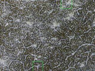 Phoenix Lander Amid Disappearing Spring Ice