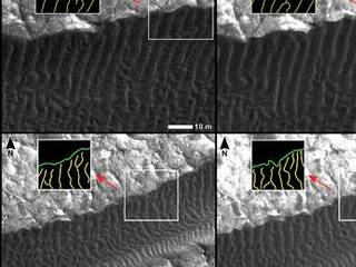 Changes at Edges of Dark Dunes in Nili Patera, Mars