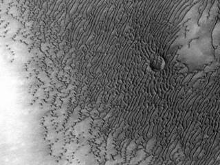A vast dune field lies near the northern polar cap of Mars. Seen here in summer, the dunes have partially buried an impact crater about 1,000 meters (3,300 feet) wide.