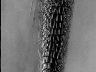 Although this may look like a hostile alien life form, it's actually a complex line of sand dunes near the northern ice cap of Mars.