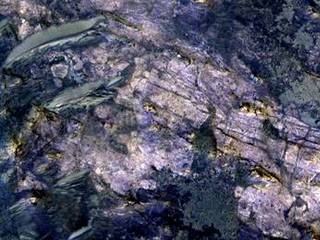 This image from orbit covers an area about 460 meters (about 1,500 feet) across, in which carbonate minerals have been identified from spectrometer observations. Fractures and possible layers are visible in the light-toned rock exposure containing the carbonates.