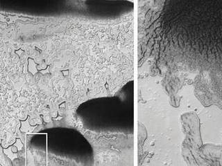 These images from orbit show an area near Mars' south pole where coalescing or elongated pits are interpreted as signs that an underlying deposit of frozen carbon dioxide, or "dry ice," has been shrinking by sublimation.