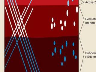 Unfrozen brine in cryopegs and fracture networks provides habitats for the survival and growth of organisms both within and under frozen rocky materials on Earth and, by analogy, could provide habitats on Mars.