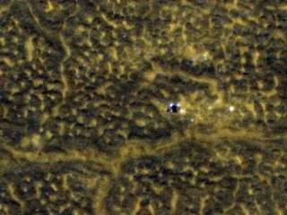 This image, taken Jan. 26, 2012, shows NASA's no-longer-active Phoenix Mars Lander spacecraft after its second Martian arctic winter.