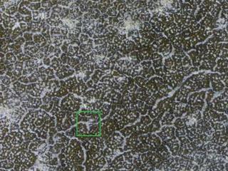 NASA's Phoenix Mars Lander, its backshell and its heatshield are visible within this enhanced-color image of the Phoenix landing site taken on Jan. 6, 2010 by the High Resolution Imaging Science Experiment (HiRISE) camera on NASA's Mars Reconnaissance Orbiter.

With early spring at the Phoenix landing site comes progressive sublimation of carbon-dioxide frost that has blanketed the lander and surrounding terrain throughout the winter. During the long polar-winter night, atmospheric carbon dioxide freezes onto the surface, building up a layer of frost roughly 30 centimeters (about one foot) thick. In the spring this frost returns to atmosphere gas (sublimates) over the course of several months. This image, part of a seasonal frost monitoring sequence, shows some areas of bare ground are beginning to be exposed. However, extensive frost patches remain in the topographic lows, such as the troughs of the local polygonally patterned surface.