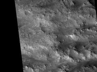 Syrtis Major Region