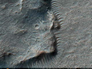 This observation shows a wrinkle ridge in Solis Planum, located in the Thaumasia region of Mars, a high-elevation volcanic plain located south of the Valles Marineris canyon system and east of the Tharsis volcanic complex. Solis Planum contains some of the most distinct and well studied arrays of wrinkle ridges on Mars.

Wrinkle ridges are long, winding topographic highs and are often characterized by a broad arch topped with a crenulated ridge. These features have been identified on many other planetary bodies such as the Moon, Mercury, and Venus. On Mars, they are many tens to hundreds of kilometers long, tens of kilometers wide, and have a relief of a few hundred meters. Wrinkle ridges are most commonly believed to form from horizontal compression or shortening of the crust due to faulting and are often located in volcanic plains. They commonly have asymmetrical cross sectional profiles and an offset in elevation on either side of the ridge. Large dunes are also visible bordering the wrinkle ridge.

The reddish colors seen in this image most likely indicate the presence of dust (or indurated dust) and the darker, bluish colors most likely indicate the presence of larger rocks and boulders on the wrinkle ridge.