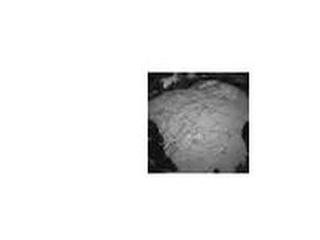 This "thumbnail" image illustrates the size of the first image expected from NASA's Curiosity rover.