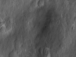 Curiosity Spotted!