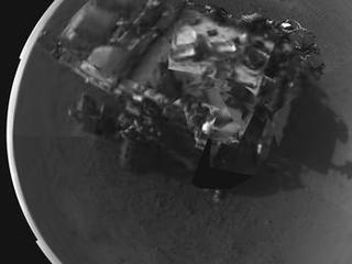 Rover's Self Portrait