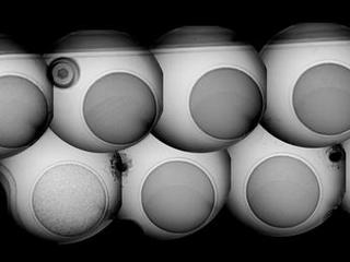 This mosaic shows the calibration target for the Chemistry and Camera (ChemCam) instrument on NASA's Curiosity rover, as seen by the ChemCam's remote micro-imager. The images were taken on Aug. 15, 2012.