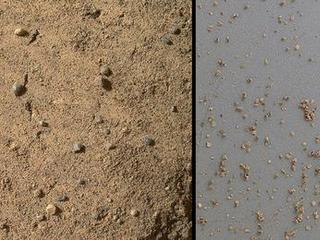 The Mars Hand Lens Imager (MAHLI) on NASA's Mars rover Curiosity acquired close-up views of sands in the "Rocknest" wind drift to document the nature of the material that the rover scooped, sieved and delivered to the Chemistry and Mineralogy Experiment (CheMin) and the Sample Analysis at Mars (SAM) in October and November 2012.