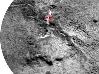This image shows a close-up of the rock named "Crest," taken by the remote micro-imager (RMI) on Curiosity's Chemistry and Camera (ChemCam) instrument above the analysis of the elements detected by using ChemCam's laser to zap the target.
