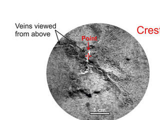 This graphic from NASA's Curiosity mission shows close-ups of light-toned veins in rocks in the "Yellowknife Bay" area of Mars together with analyses of their composition.