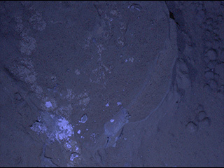 This image of a Martian rock illuminated by ultraviolet LEDs (light emitting diodes) is part of the first set of nighttime images taken by the Mars Hand Lens Imager (MAHLI) camera at the end of the robotic arm of NASA's Mars rover Curiosity.