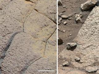 This set of images compares rocks seen by NASA's Opportunity rover and Curiosity rover at two different parts of Mars.