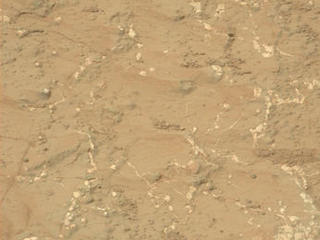Light-toned nodules and veins are visible in this image from NASA's Mars rover Curiosity of a patch of sedimentary rock called "Knorr."