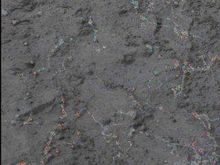On this image of the rock target "Knorr," color coding maps the amount of mineral hydration indicated by a ratio of near-infrared reflectance intensities measured by the Mast Camera (Mastcam) on NASA's Mars rover Curiosity.