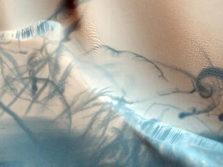 This beautiful observation shows a gorgeous pattern of dust devil tracks.