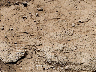 This patch of bedrock, called "Cumberland," has been selected as the second target for drilling by NASA's Mars rover Curiosity.