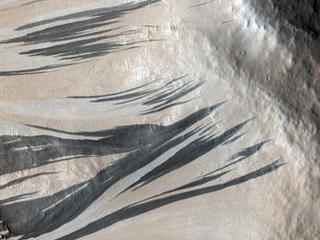 This observation shows a portion of the wall (light-toned material) and floor of a trough in the Acheron Fossae region of Mars. Many dark and light-toned slope streaks are visible on the wall of the trough surrounded by dunes.