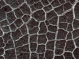 From a distance, the floor of this crater looks like a giant honeycomb or spider web. The intersecting shapes, or polygons, commonly occur in the northern lowlands of Mars.