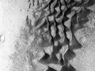 Fans and ribbons of dark sand dunes creep across the floor of Bunge Crater in response to winds blowing from the direction at the top of the picture. The frame is about 14 kilometers (9 miles) wide.